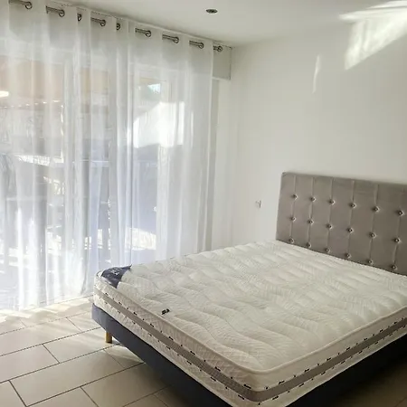 Villa De 3 Avec Piscine Privee Jacuzzi Et Jardin Clos A Vecchio